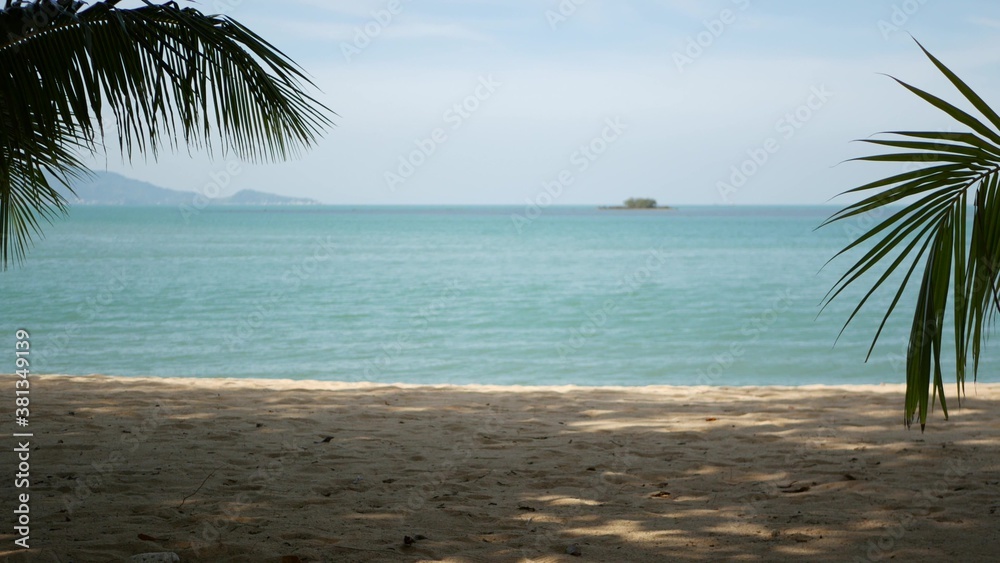 Naklejka premium Tropical sandy beach of paradise island. Green palm leaf overlooking sea. Soft focus blurred natural abstract background with copy space and bokeh. Travel, tourism and summer vacation concept.