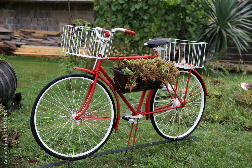 Old bicycle with flower pots stands in the garden