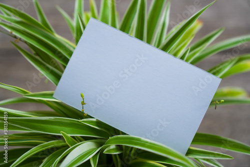 Name card mockup with flower background