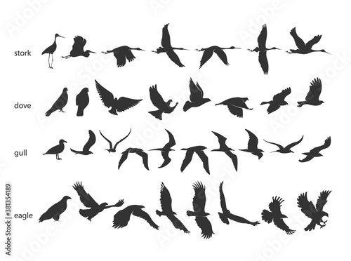 set of silhouettes of birds in motion on a white background 