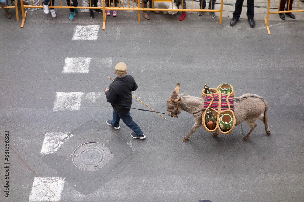 animals parading down the street seen from above