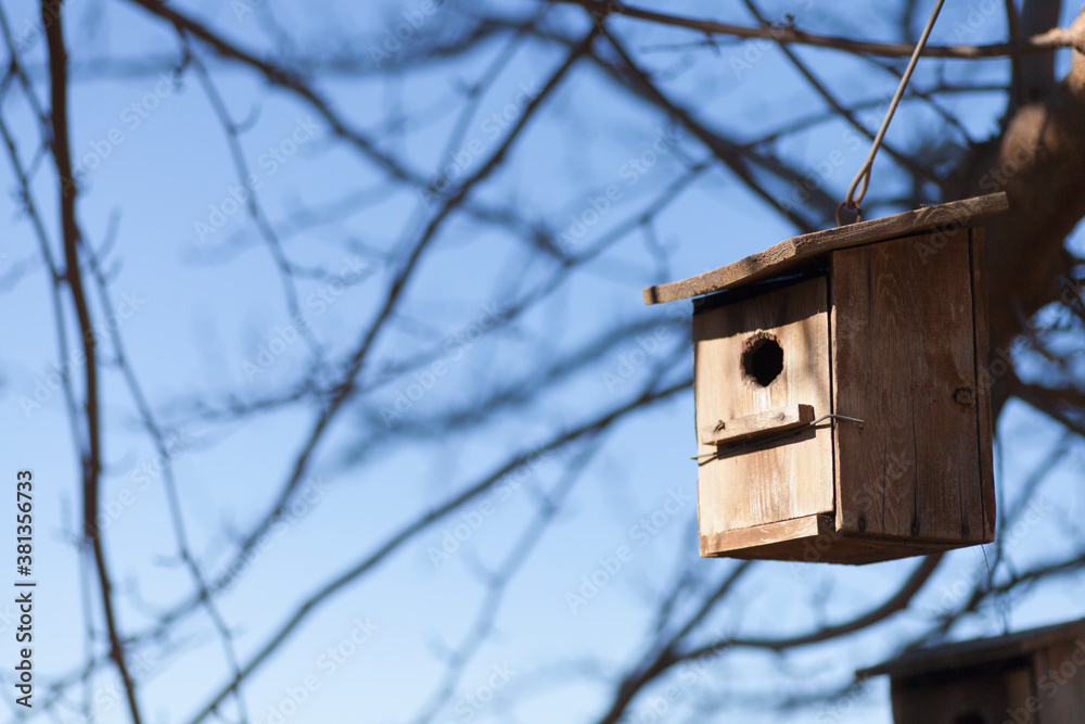 wooden nest hanging from a tree