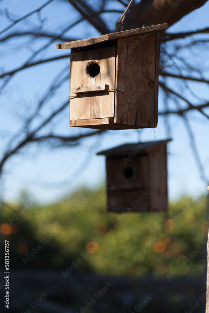 wooden nest hanging from a tree
