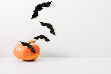 Halloween holiday concept. Photo frame, halloween decorations on white background. Front view, copy space