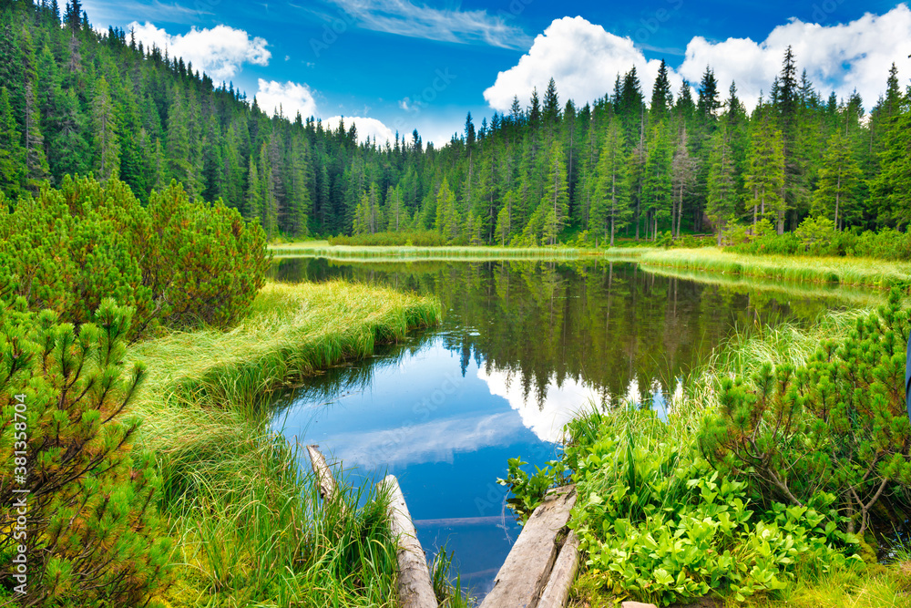 Wooden bridge in blue water at a forest lake with pine trees