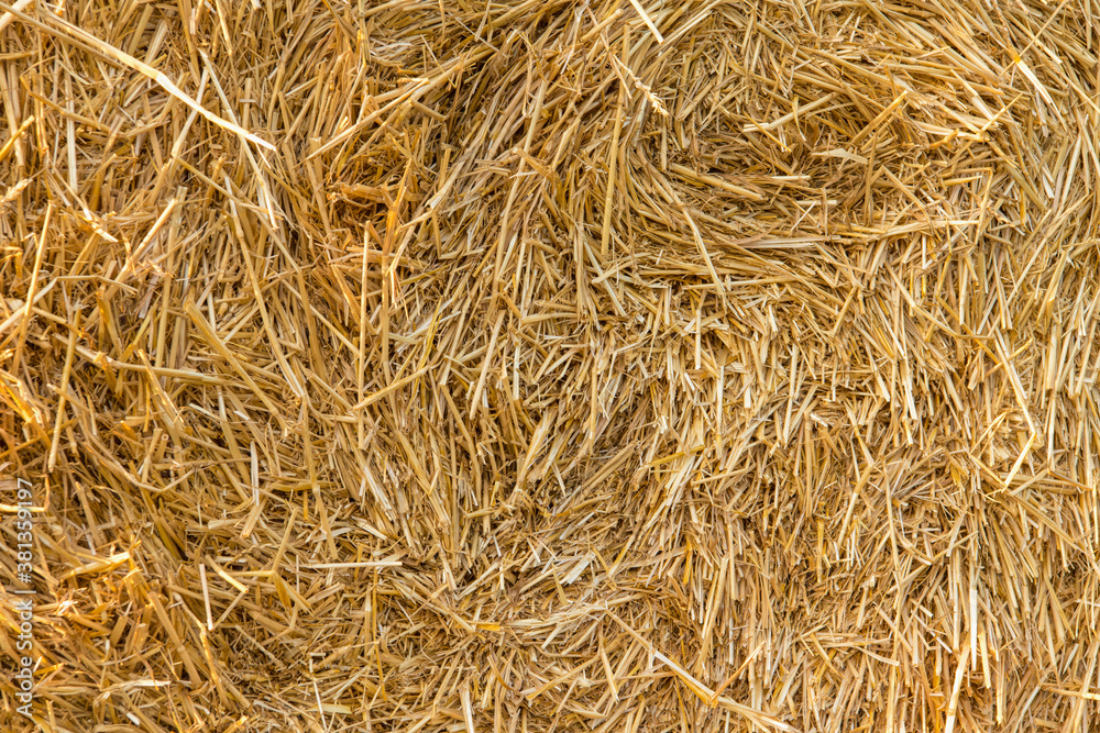 Hay texture. Hay bales are stacked in large stacks. Harvesting in agriculture. Hay texture. Hay bales are stacked in large stacks. Harvesting in agriculture.