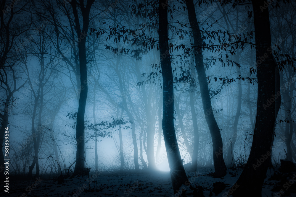 dark misty forest panorama fantasy halloween landscape