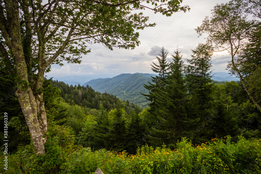 Summer at the Great Smoky Mountains National Park on the Foothills Parkway in Wears Valley, Tennessee. 