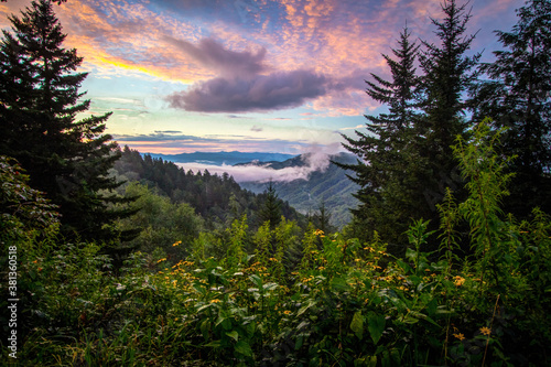 Great Smoky Mountain Sunrise with wildflowers at the Newfound Gap Overlook on the Tennessee and North Carolina border.  photo