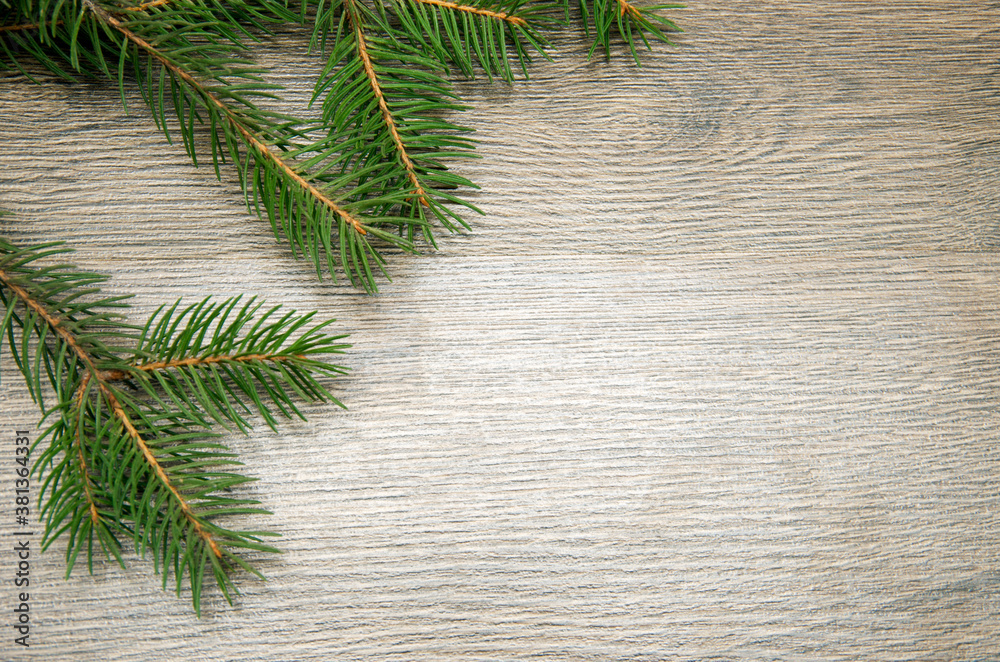 Christmas background made of fir branches Christmas background made of fir branches