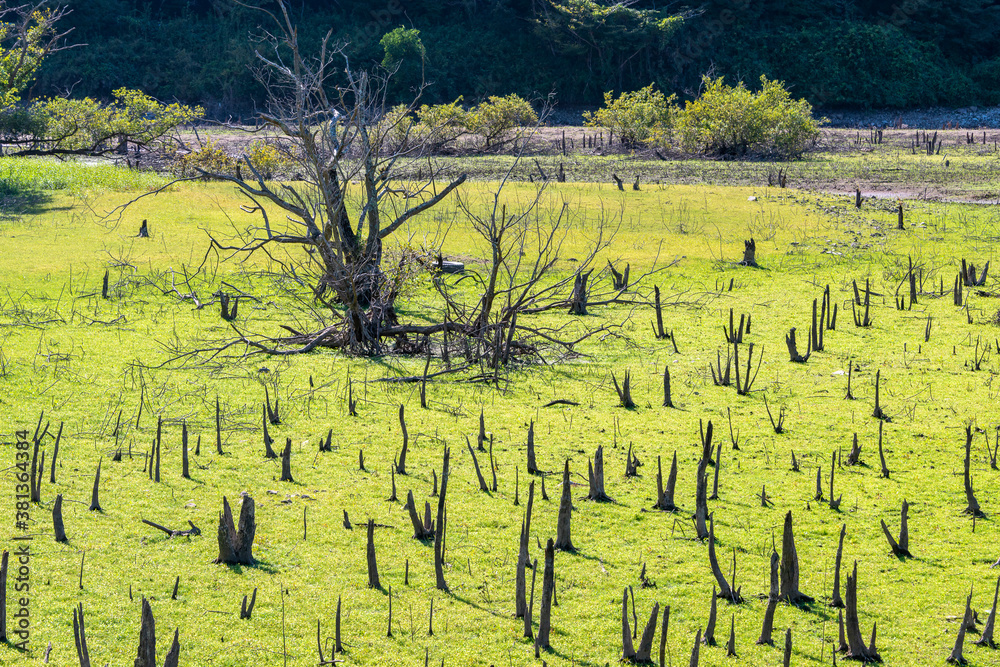 View of drained dam lake bottom at Aono dum in Sanda city, Hyogo, Japan