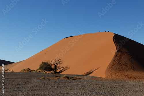 Wanderer auf roter D  ne 45 vor blauem Himmel im Namib-Naukluft-Nationalpark  Namibia