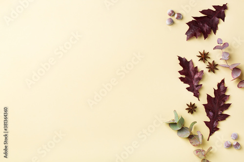 Autumn fall thanksgiving day floral composition with dried leaves
