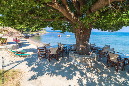 The beach on Thasos island, Greece. Huge tree, tables and chairs in it's shadow waiting for tourists to come, relax and enjoy the view. photo