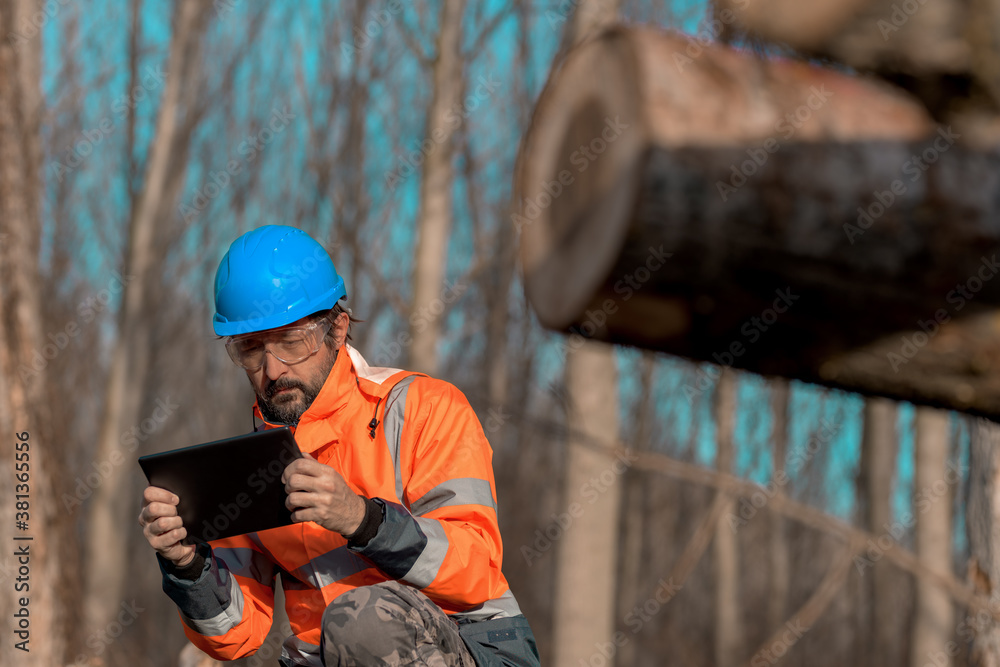 Forestry technician using digital tablet computer in forest Forestry technician using digital tablet computer in forest