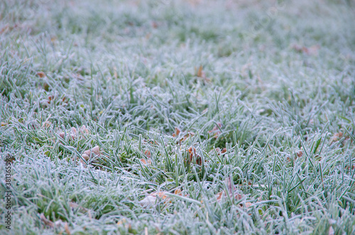 Winter background, morning frost on the grass with copy space © nata777_7