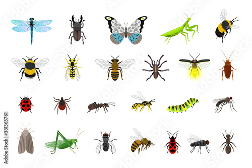 Cute insects collection. Cartoon small colorful beetles and caterpillars, bugs and butterfly, vector illustration of creatures of science entomology isolated on white background © ssstocker