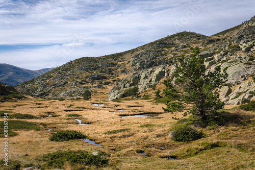 Rocky mountain landscape on Guadarrama mountain range with a pine and small ponds  Pe  alara  Madrid  Spain
