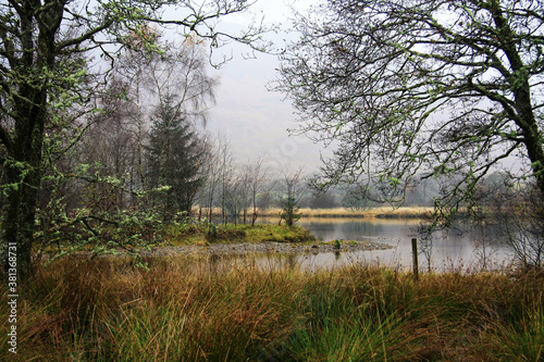 In the Scottish Mists of Argyll and Bute photo