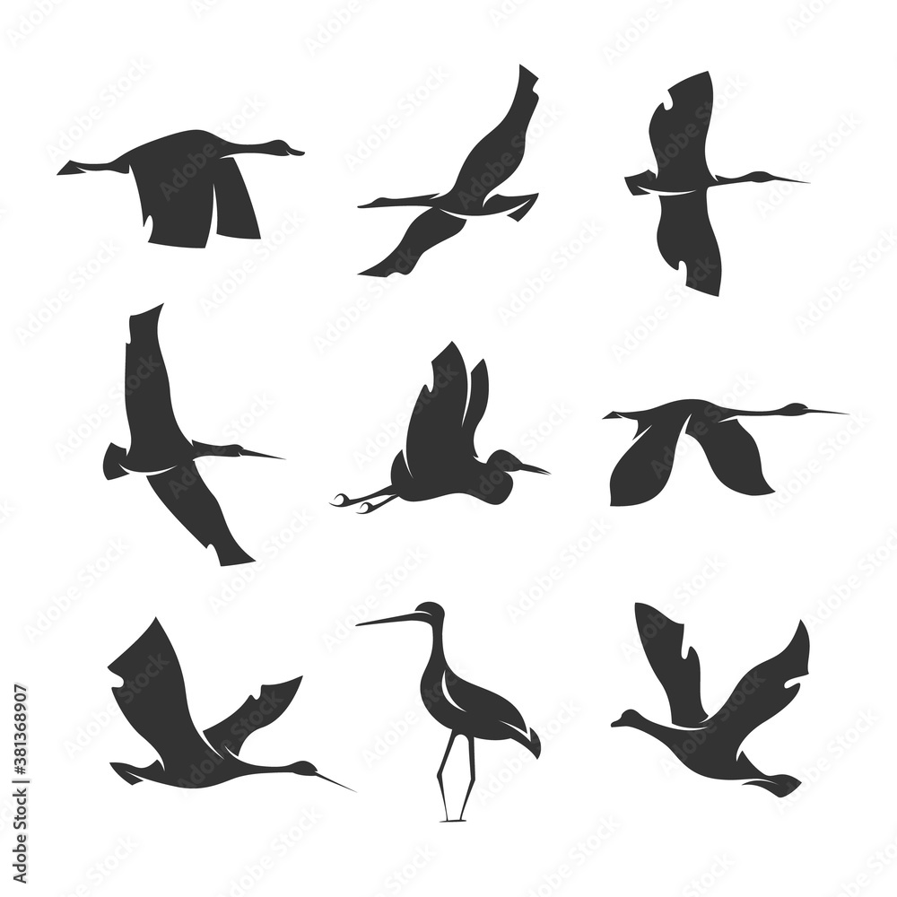 Fototapeta premium set of silhouettes of birds in motion on a white background