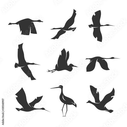 set of silhouettes of birds in motion on a white background  © Andrei Kukla