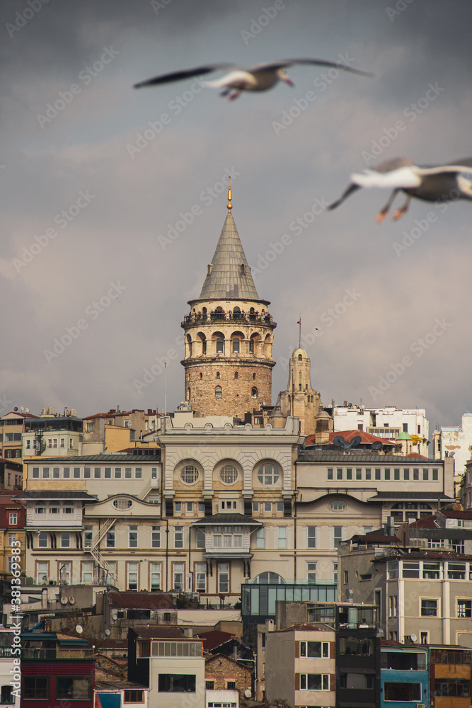 Obraz premium Cloudy Galata tower and seagulls in Beyoglu district of Istanbul, Turkey