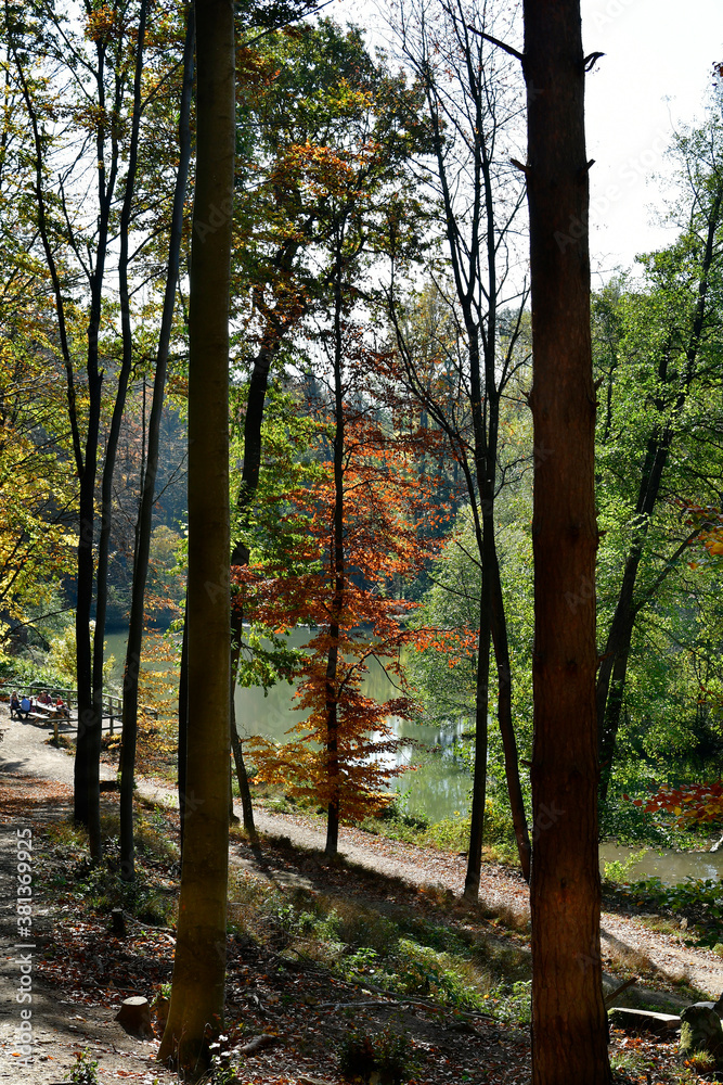 Naklejka premium Austria, Autumn Impression
