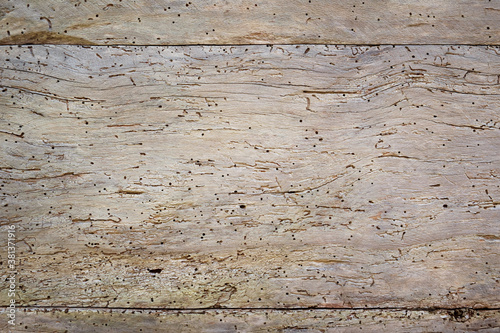 Wood texture background, view of damaged wooden rough planks with cracks and holes.