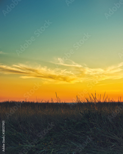 golden sunset above the dune grass at the baltic sea