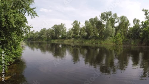 Water surface breeze on a narrow river in summer, locked down real time video