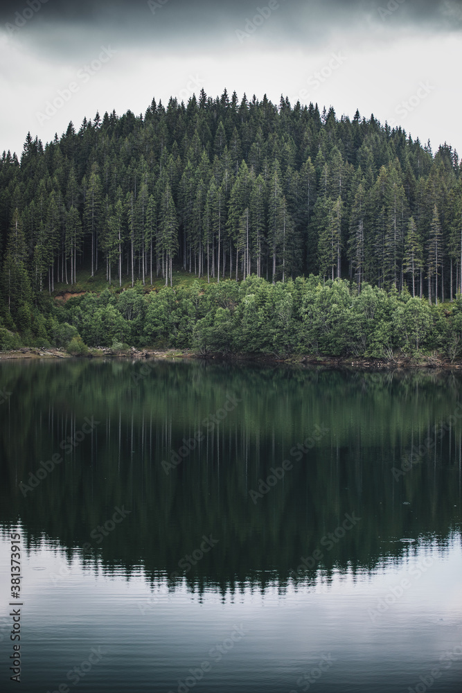 Reflection of evergreen pine tree in a lake. Bucegi mountains,Romania