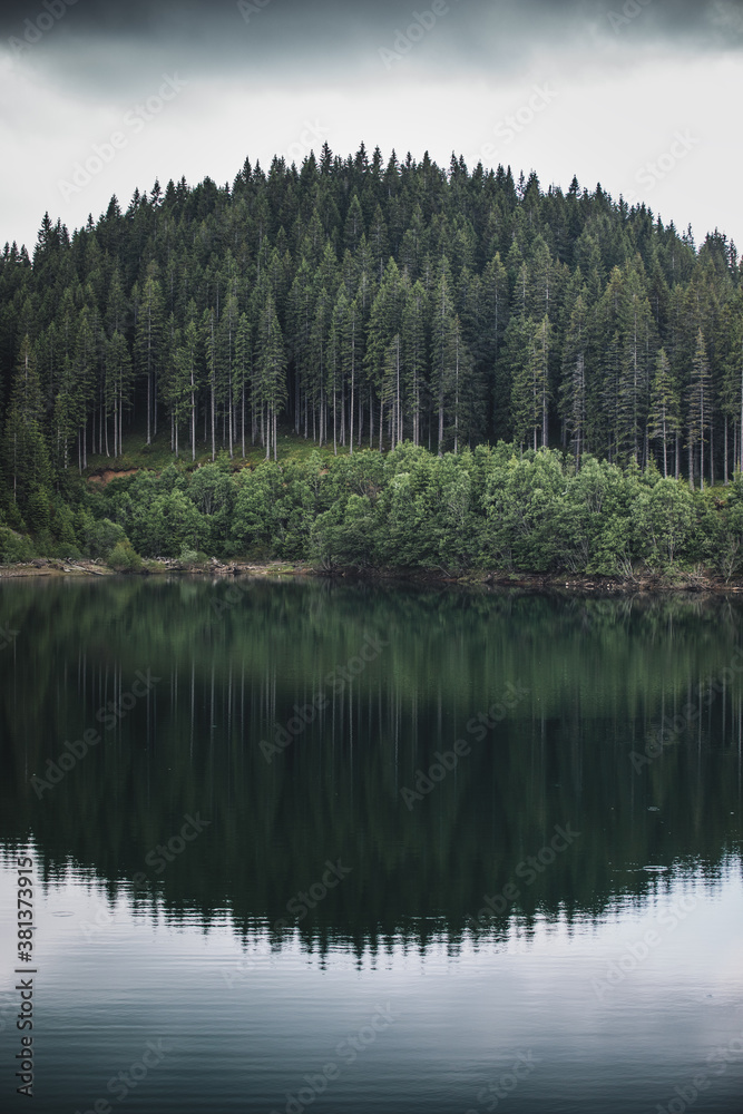 Reflection of evergreen pine tree in a lake. Bucegi mountains,Romania Reflection of evergreen pine tree in a lake. Bucegi mountains,Romania