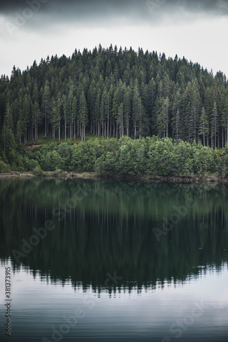 Reflection of evergreen pine tree in a lake. Bucegi mountains,Romania