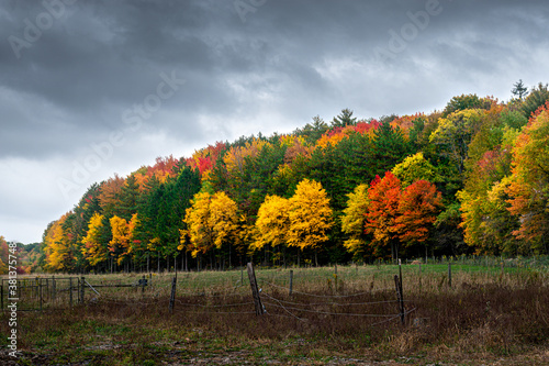 autumn landscape in Upstate NY with field, foliage and dark clouds making for a beautiful fall scene. photo