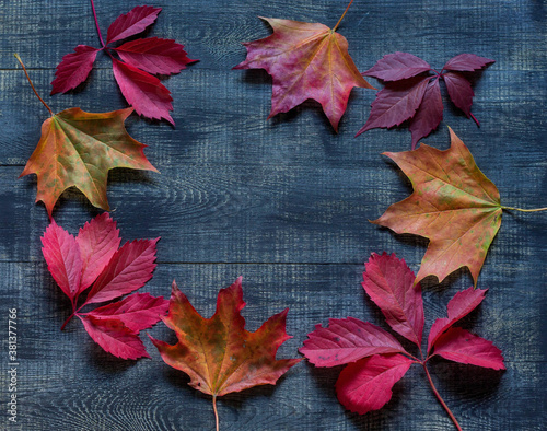 Top view of frame of multicolored fallen leaves on wooden background