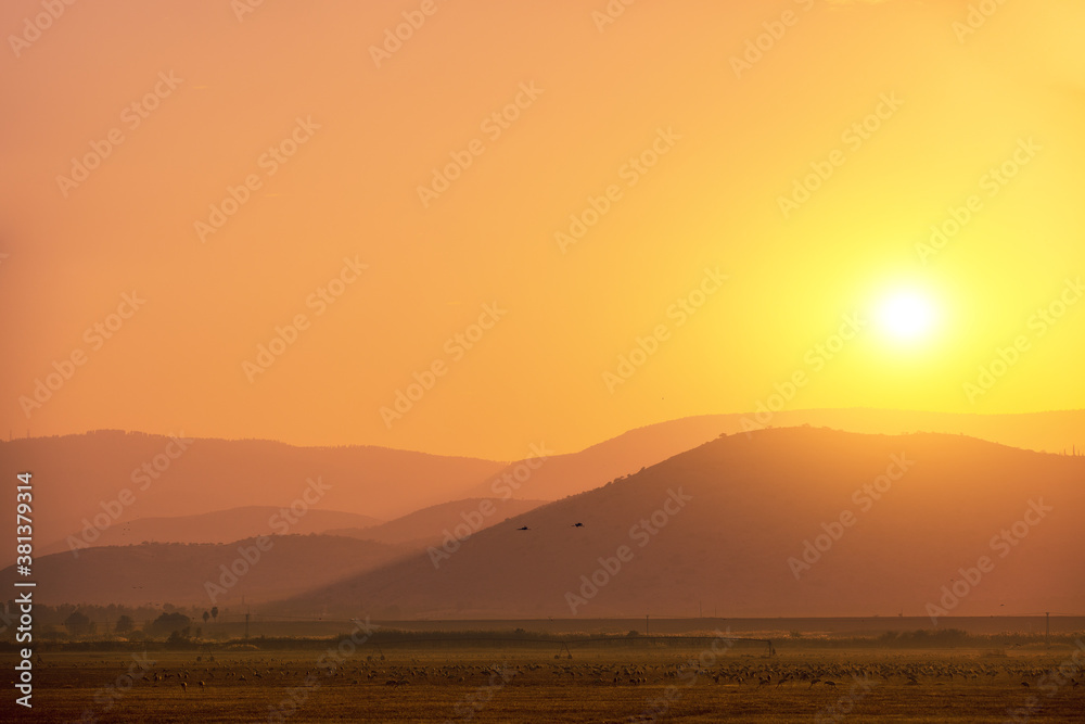 Birds (Common crane) against the background of the mountains in the evening. The Hula Valley in northern Israel at sunset. Artistic gradient color Birds (Common crane) against the background of the mountains in the evening. The Hula Valley in northern Israel at sunset. Artistic gradient color