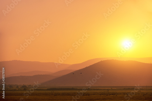Birds (Common crane) against the background of the mountains in the evening. The Hula Valley in northern Israel at sunset. Artistic gradient color