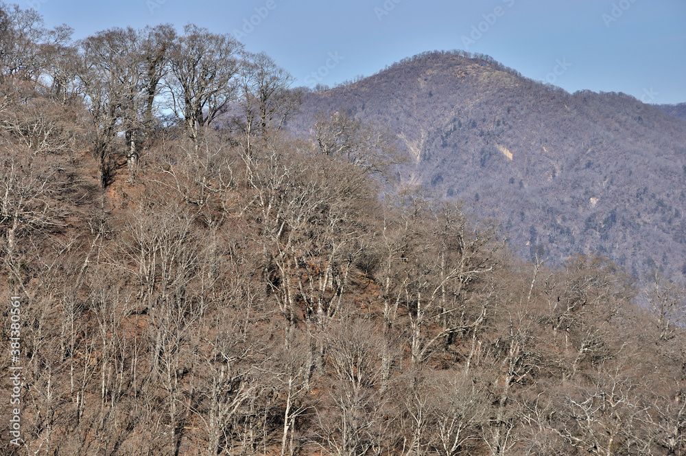 冬晴れの丹沢山地 大倉尾根より檜洞丸を望む 冬晴れの丹沢山地 大倉尾根より檜洞丸を望む