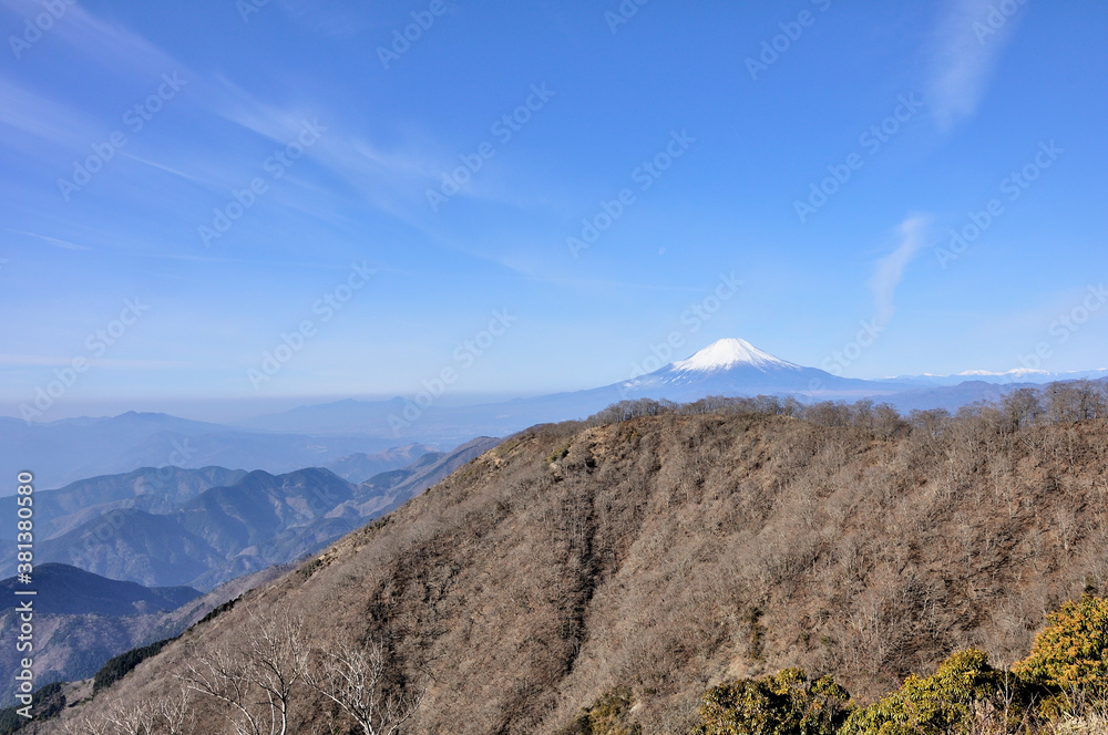 丹沢 大倉尾根から眺める雪化粧の富士山 コピースペース