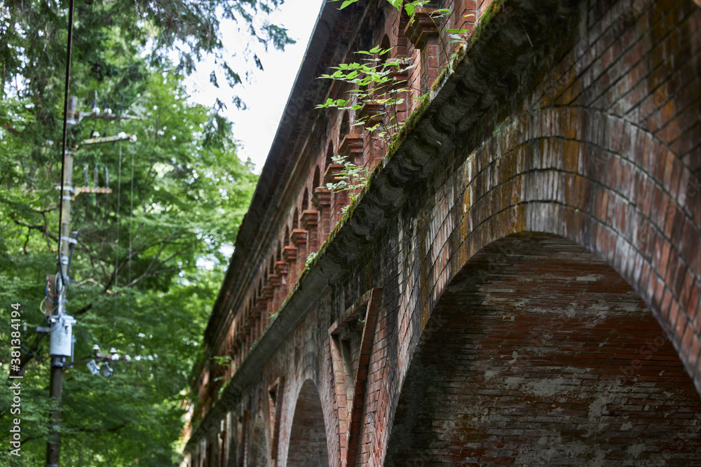 Fototapeta premium 南禅寺水路閣