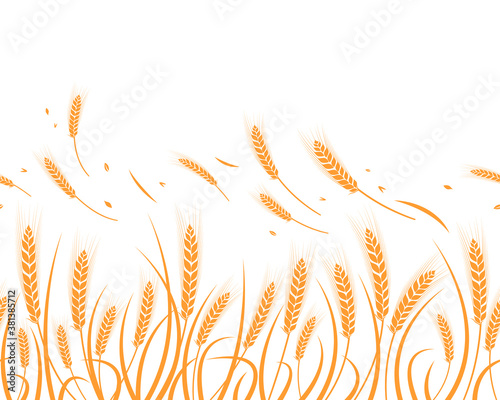 Vector silhouette of wheat. Silhouette. Wheat in the field on a white background