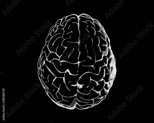 Engraving top view brain illustration on dark BG