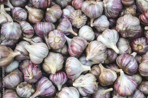 Garlic background. Food background with a lot of raw garlic. Selective focus, close-up, top view. Harvest concept