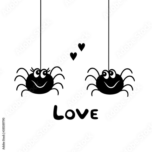 Hanging spiders in love. Black and white.