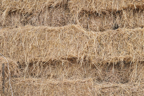 full frame background of naturally dried haystack