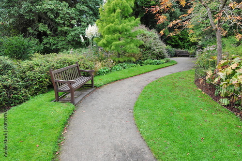 path and bench in the garden