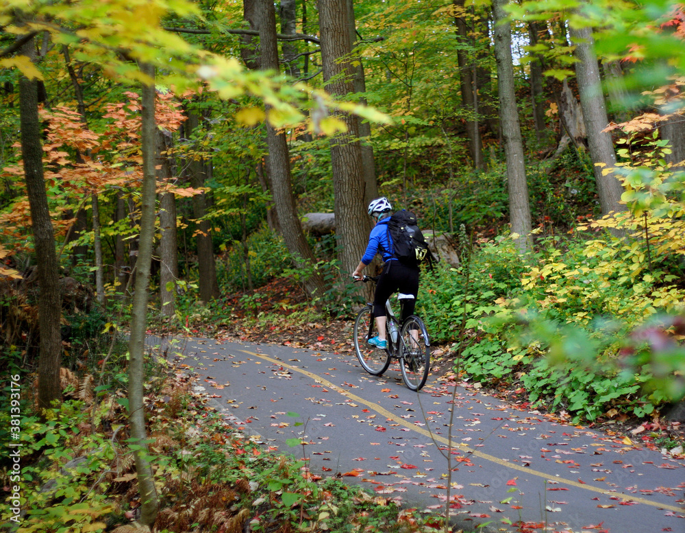 Naklejka premium faire du vélo dans un boisé en automne