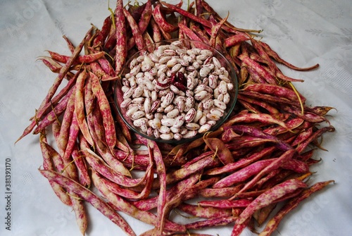 Heap of both speckled fresh kidney beans (Barbunya) and seeds on the white table cloth. Top view. photo