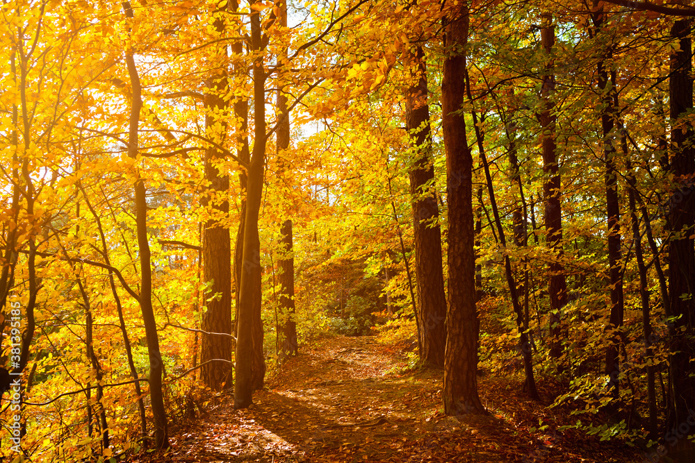 Herbst Fränkische Schweiz