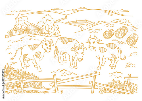 Dairy farm is livestock. Three cows in the barnyard. Hay fodder. Village rural countryside landscape. Rustic fence. Hand drawn cartoon sketch. Contour vector line.